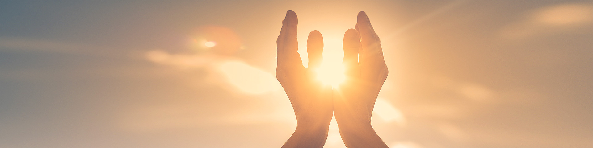 evo��Ѷ��(�й���½)����ƽ̨