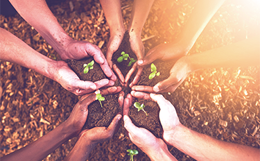 evo��Ѷ��(�й���½)����ƽ̨