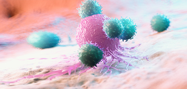 evo��Ѷ��(�й���½)����ƽ̨