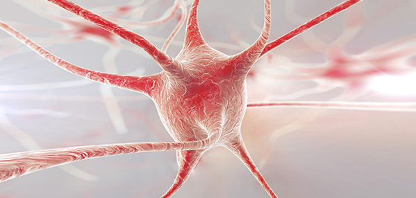 evo��Ѷ��(�й���½)����ƽ̨