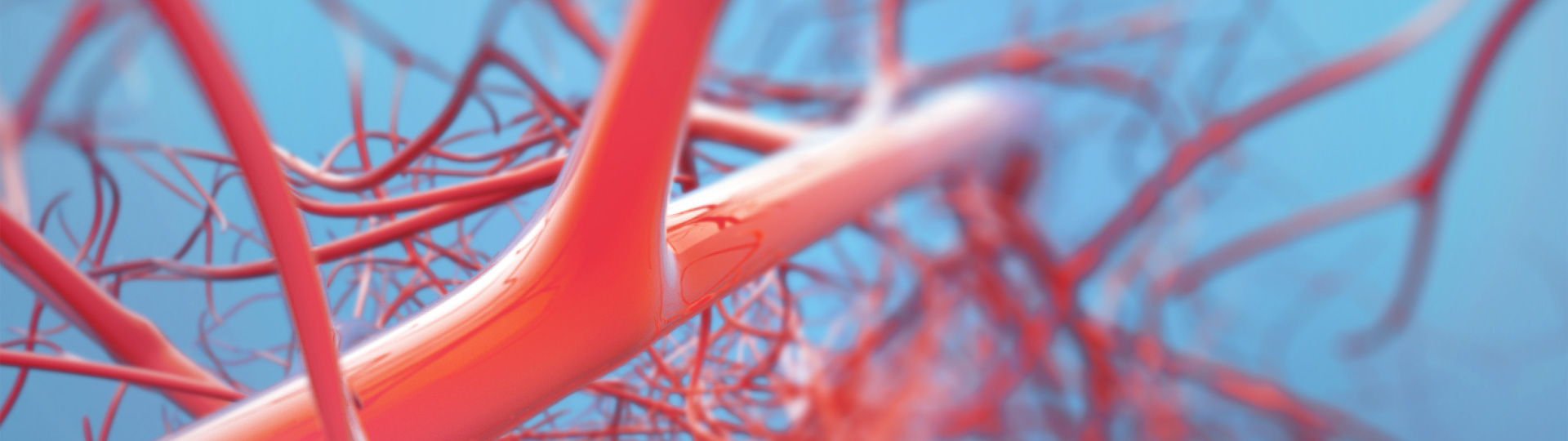 evo��Ѷ��(�й���½)����ƽ̨