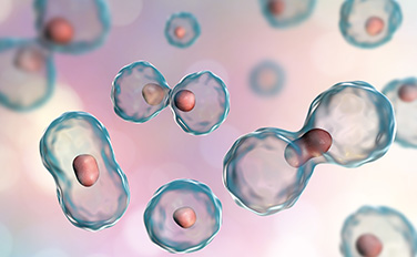 evo��Ѷ��(�й���½)����ƽ̨