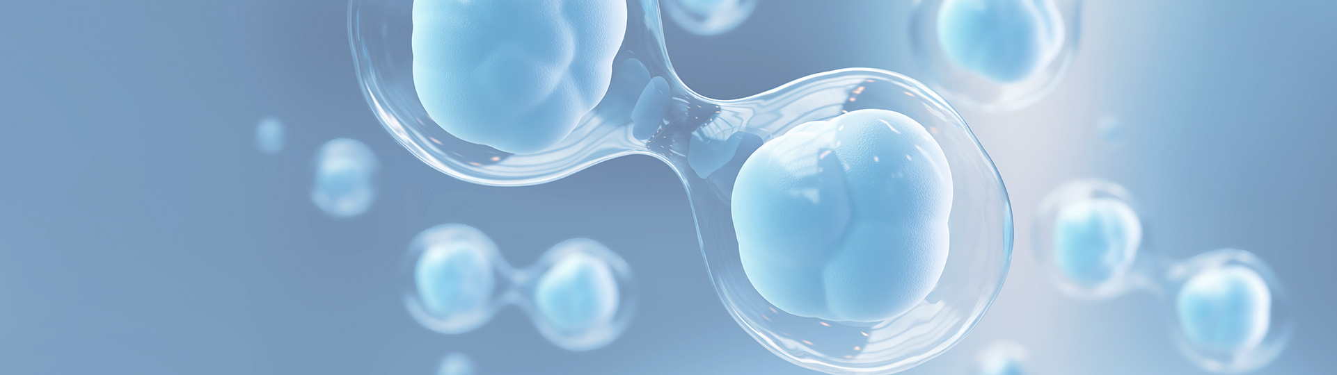 evo��Ѷ��(�й���½)����ƽ̨