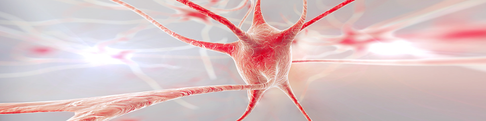 evo��Ѷ��(�й���½)����ƽ̨