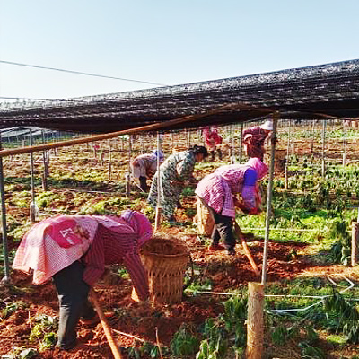 evo��Ѷ��(�й���½)����ƽ̨